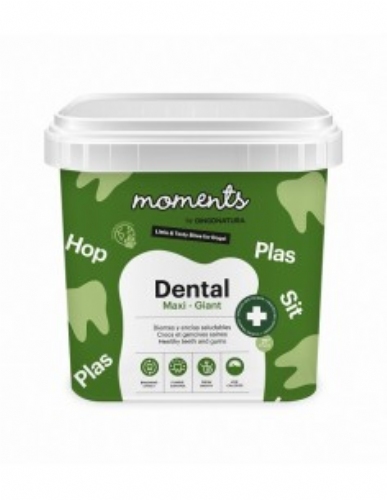 Dingonatura moments dental raza maxi 500g
