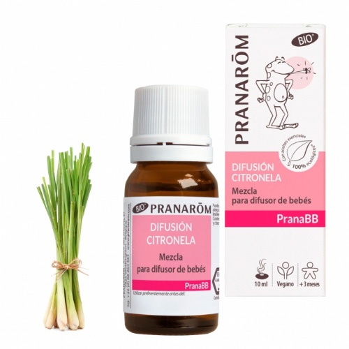 Pranabb citronela difusion