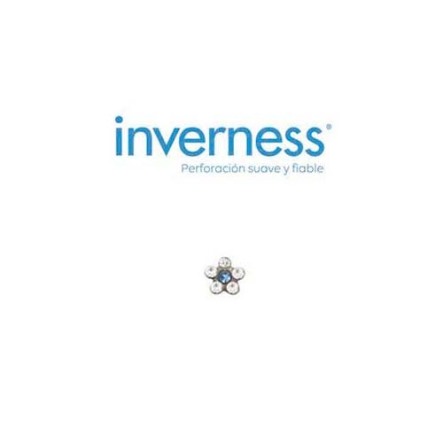 Inverness pendiente acero inoxidable (119c flor natural azul)