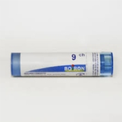 Pollantinum gr 9ch boiron