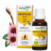 Herbalgem propoleo junior gotas bio 15ml